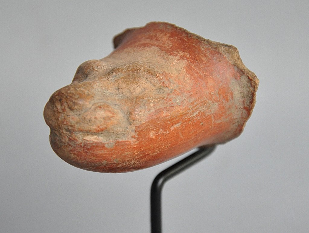 Colima, fragment van een pot, 8e eeuw n. Chr, Mexico, Ophalen of Verzenden
