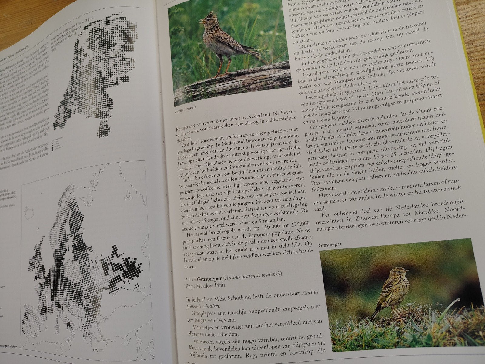 Ecologische atlas van de Nederlandse weidevogels, Boeken, Ophalen of Verzenden, Zo goed als nieuw, A. Beintema; O. Moedt