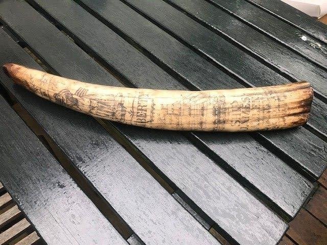 perfecte replica scrimshaw, Ophalen of Verzenden