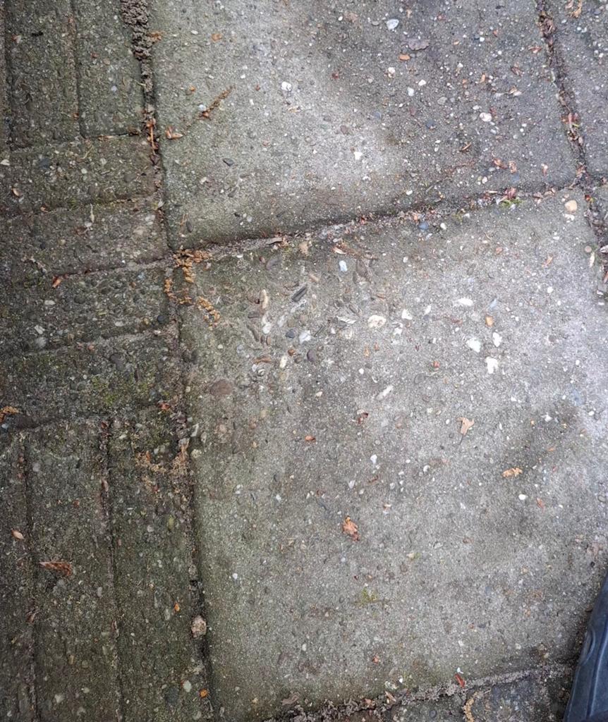 Gratis ruwe stoeptegels 30x30 (ca. 30-40m2), Ophalen