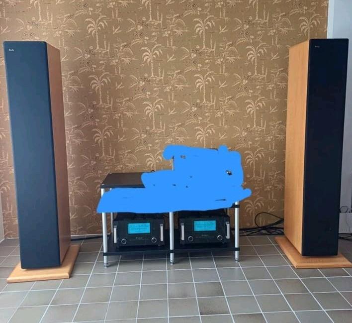 McIntosh MC1000 monoblokken met Dunlavy SC-IV Luidsprekers, Audio, Tv en Foto, Ophalen, Overige merken