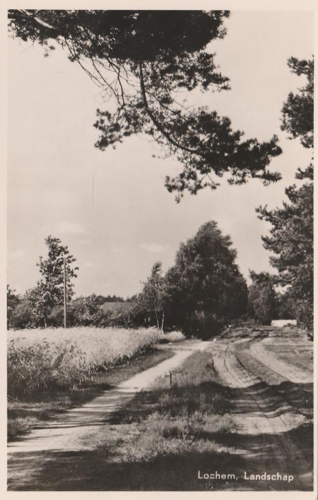 LOCHEM Landschap 1954, Verzamelen, Ansichtkaarten | Nederland, Gelopen, Gelderland, 1940 tot 1960, Verzenden