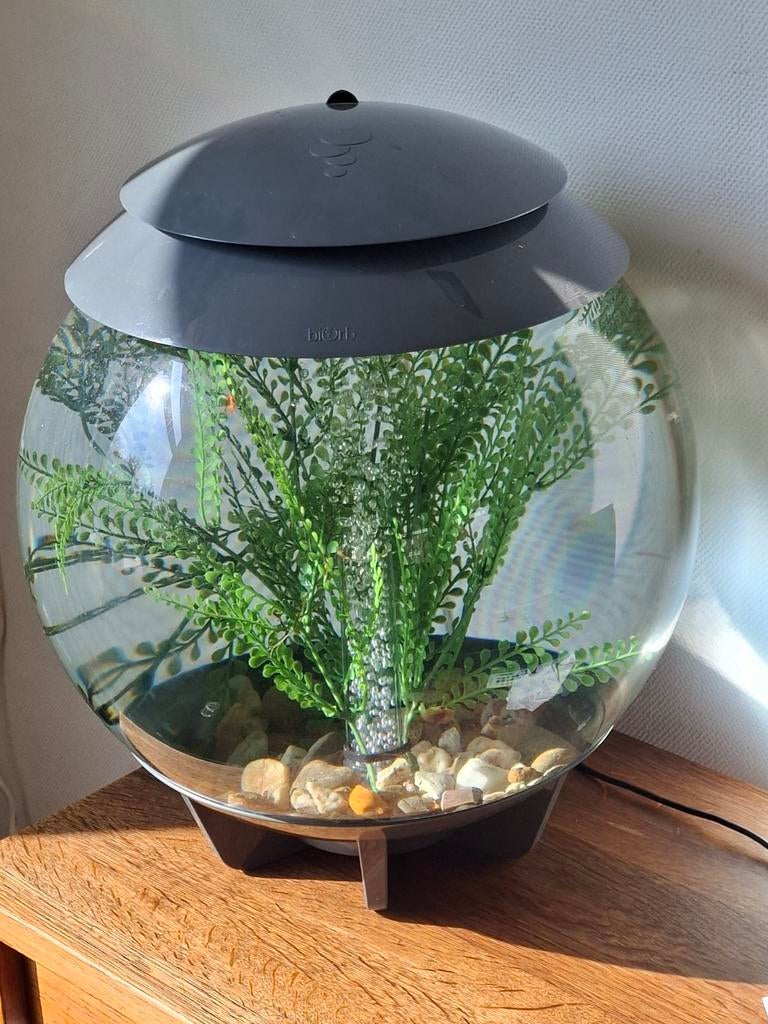 Biorb, Ophalen of Verzenden, Leeg aquarium