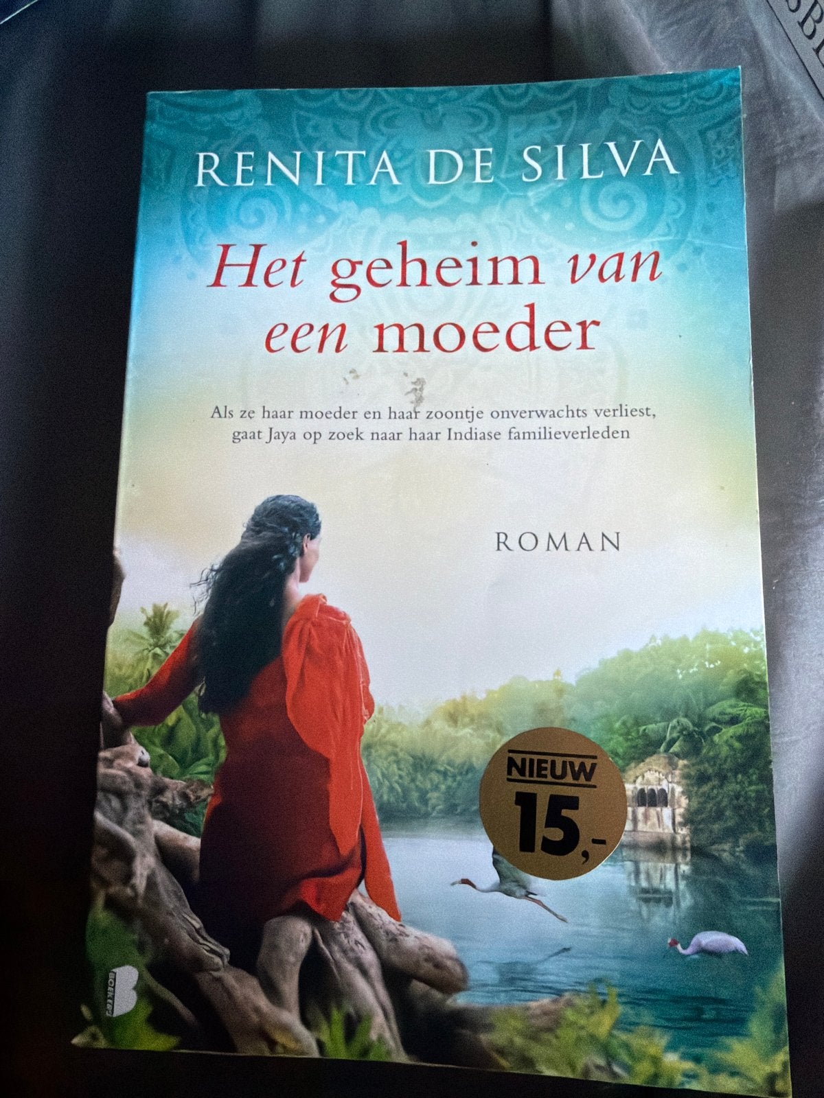 S10.  Renita de Silva - Het geheim van een moeder, Ophalen of Verzenden, Zo goed als nieuw, Renita de Silva