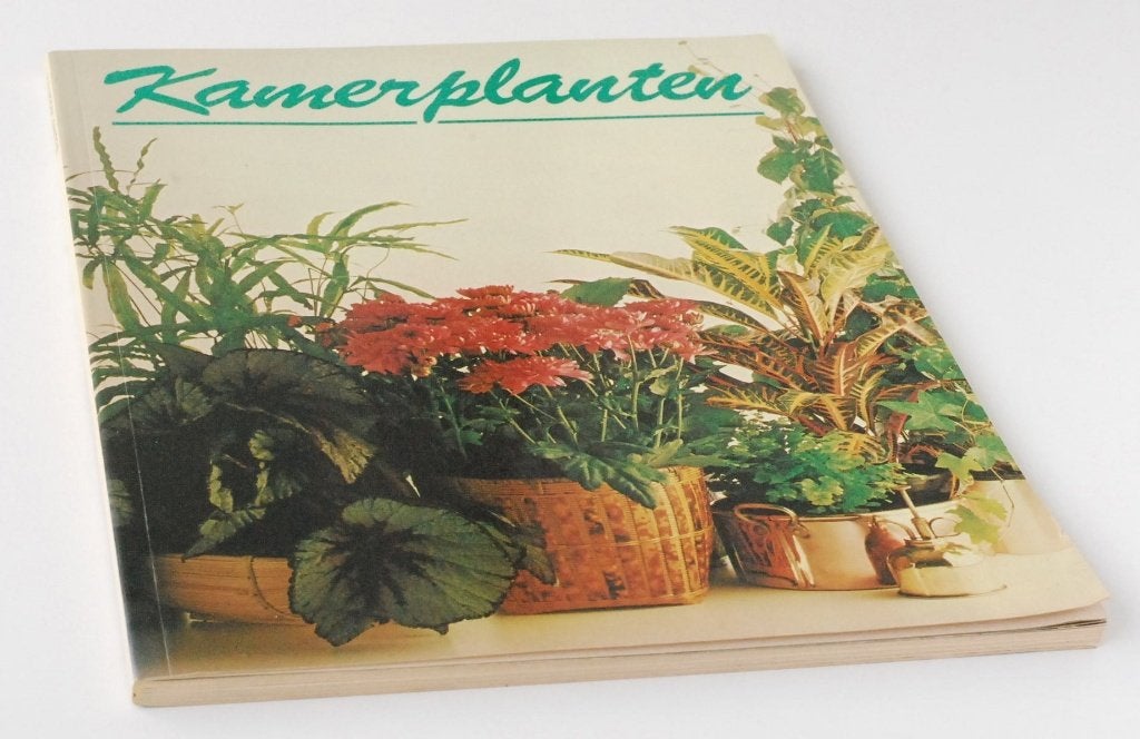 Boek Kamerplanten 1982, Boeken, Verzenden, Zo goed als nieuw, Kamerplanten, Yvonne Deutch