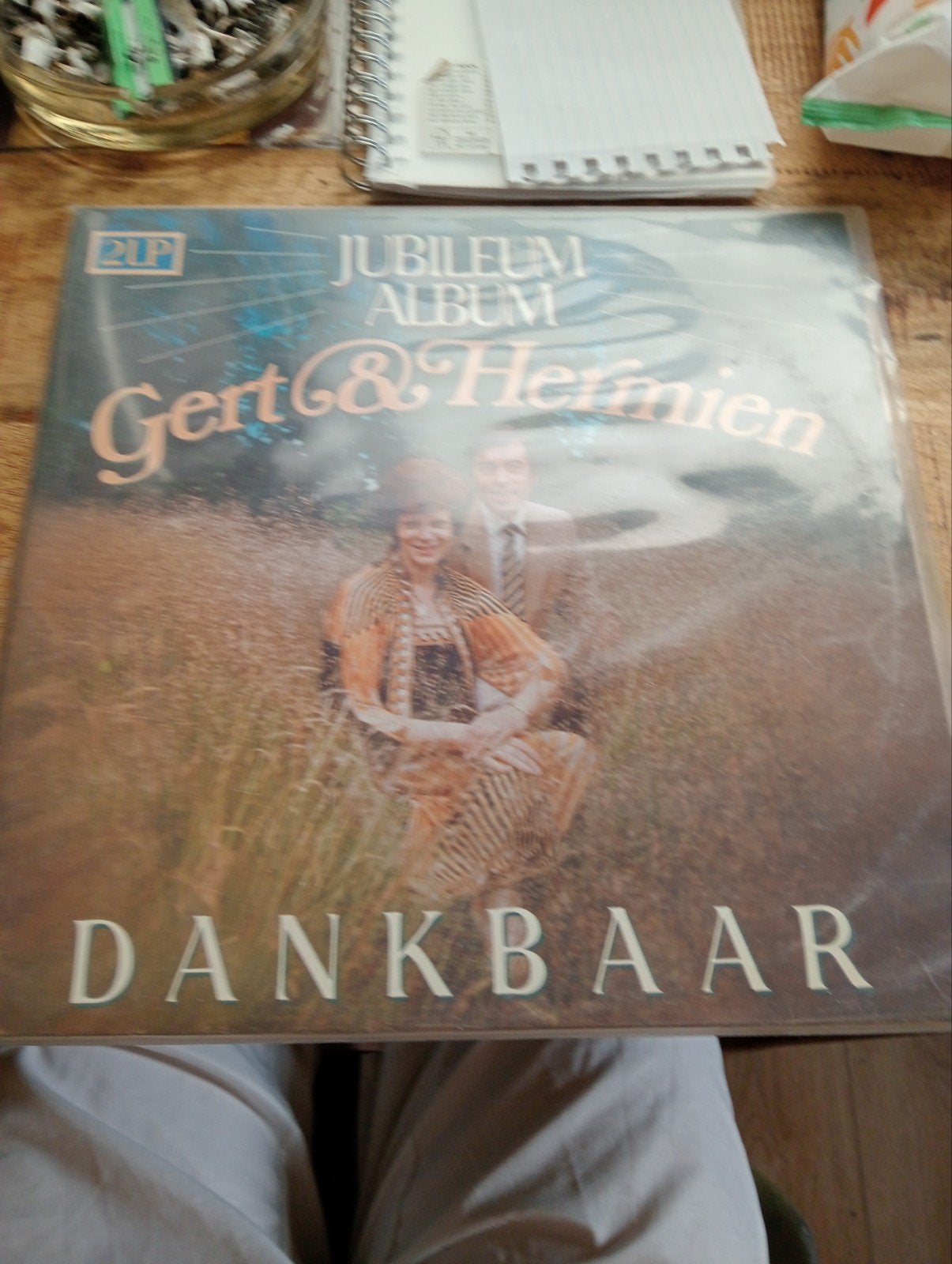Dubbel lp gert en hermien, Ophalen of Verzenden, Zo goed als nieuw, Overige formaten, Levenslied of Smartlap