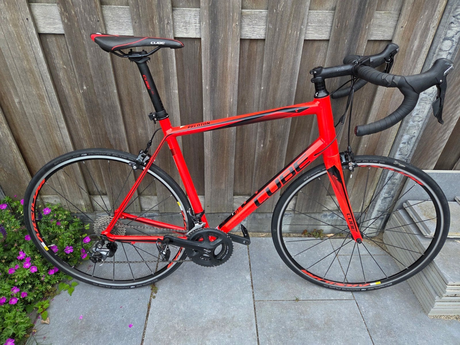 Nette Cube Peleton maat 60, Gebruikt, Aluminium, 57 tot 61 cm, Meer dan 20 versnellingen