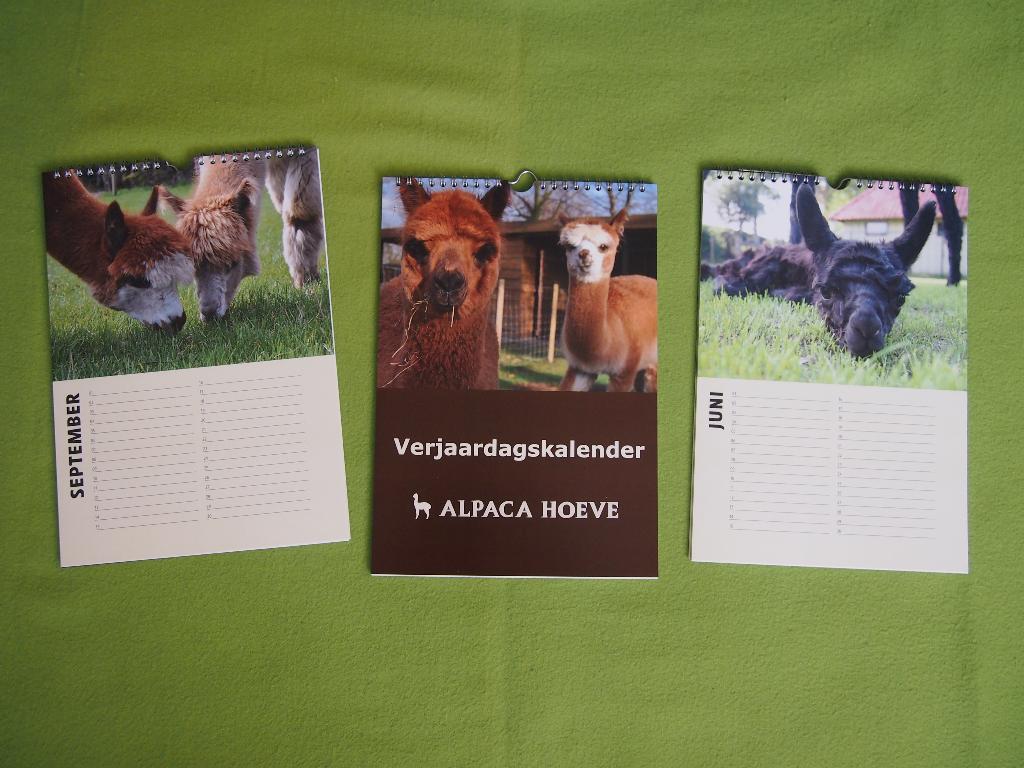 Alpaca Verjaardagskalender (nieuw), Diversen, Ophalen of Verzenden, Maandkalender, Nieuw