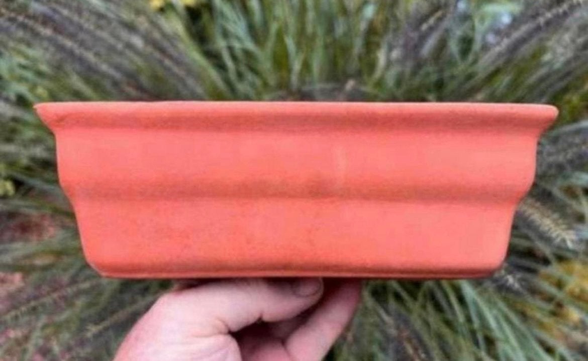 Bonsai schaal rechthoekig terracotta 20,4x14,4x6,4, Tuin en Terras, Ophalen of Verzenden, Zo goed als nieuw, Rechthoekig, Terracotta