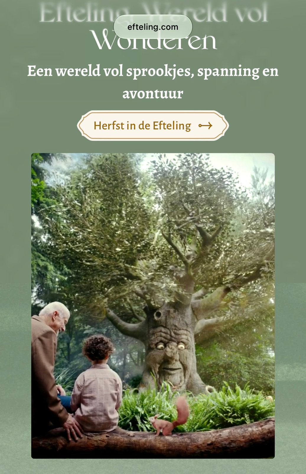 Efteling ticket €40 ps, Ophalen, Zo goed als nieuw, Overige onderwerpen