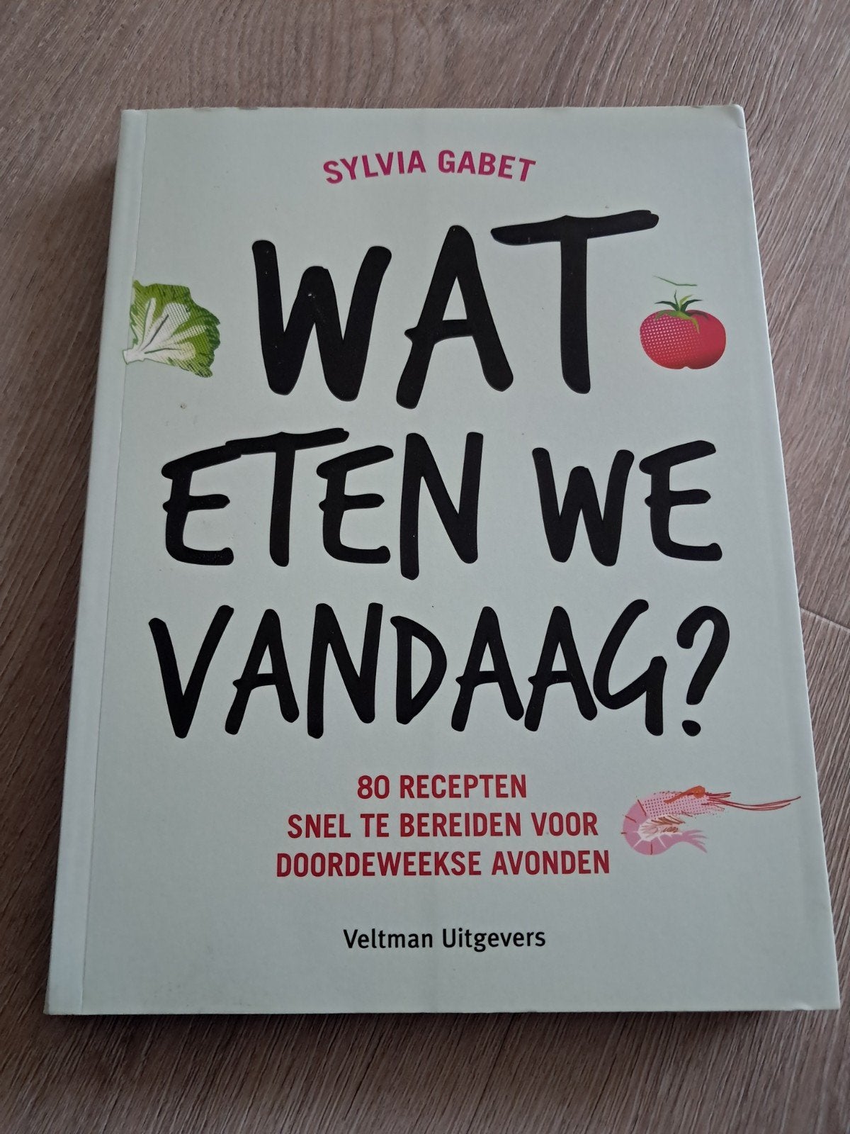 K6 Sylvia Gabet - Wat eten we vandaag?, Sylvia Gabet, Ophalen of Verzenden, Hoofdgerechten, Zo goed als nieuw