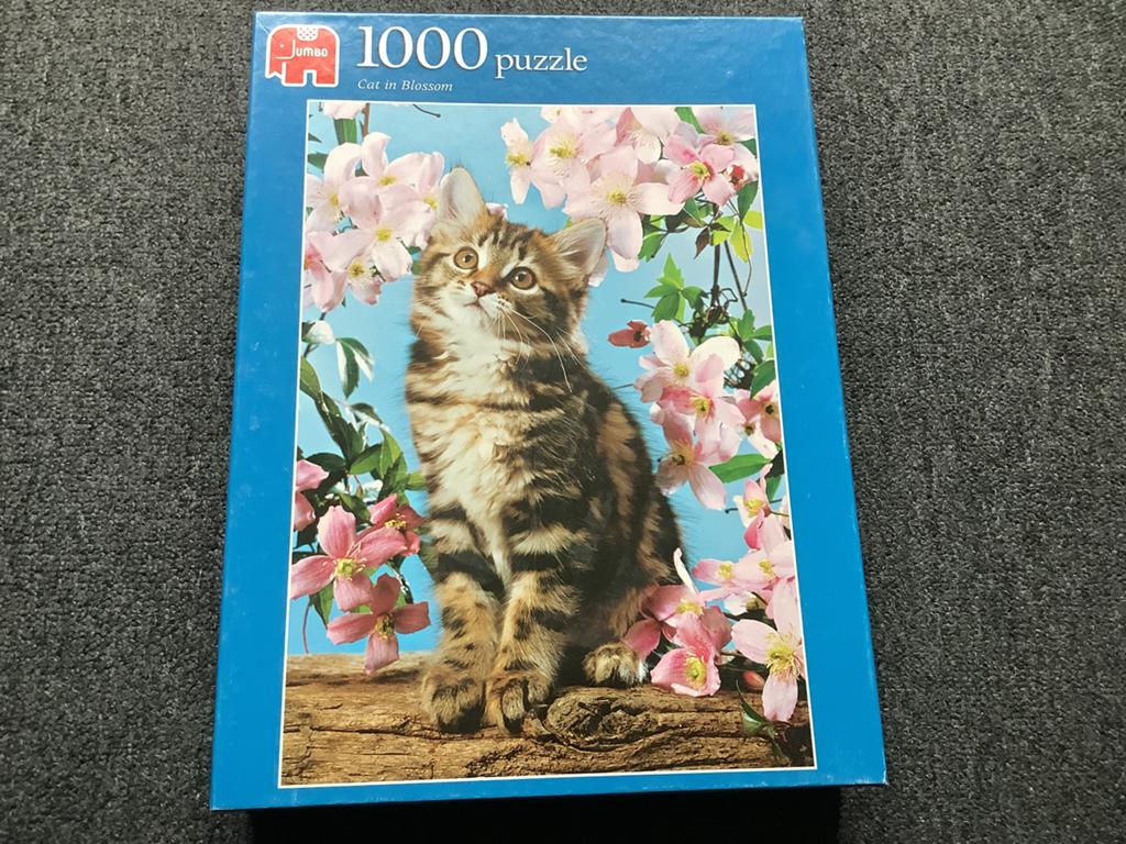 Jumbo puzzel 1000 stukjes, Ophalen of Verzenden, 500 t/m 1500 stukjes, Zo goed als nieuw