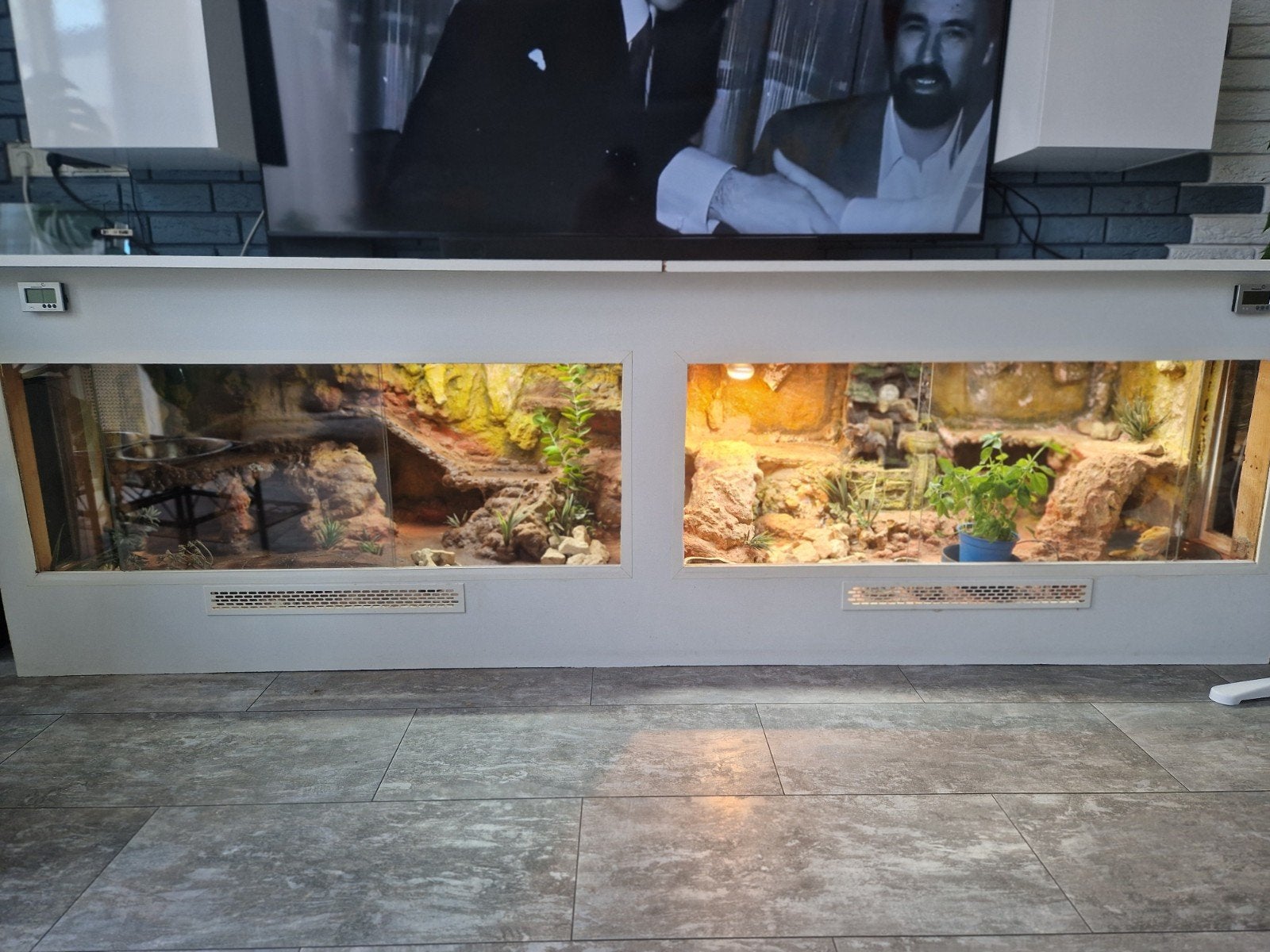 Terrarium 250x70x70+120x50x50 cena za oba 450 euro, Ophalen of Verzenden, Patroon
