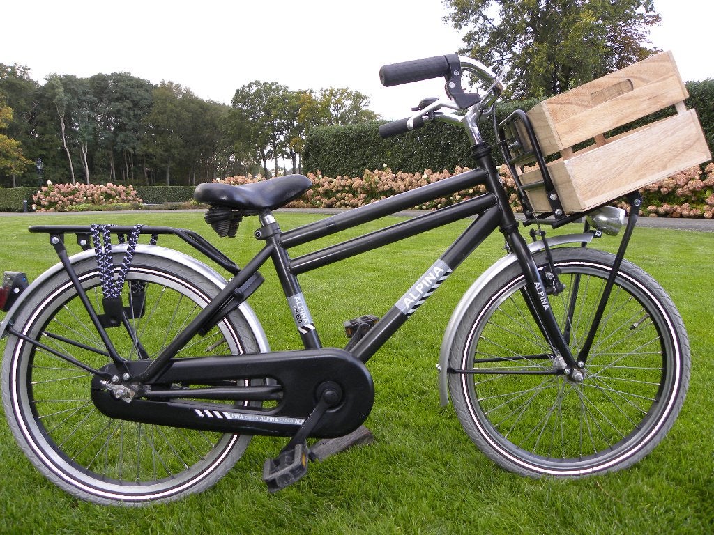 mooie 20'' alpina cargo, Ophalen, Terugtraprem, Gebruikt, Alpina