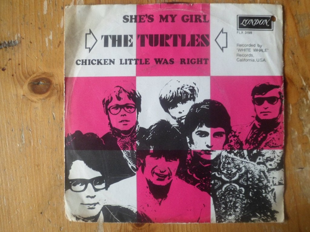 Turtles, Ophalen of Verzenden, Gebruikt, Pop