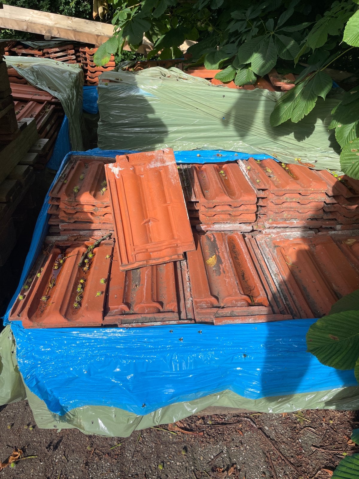 Gebruikte mulden dakpannen, ca. 800 stuks op 5 pallets, Doe-het-zelf en Verbouw, Dakpannen en Dakbedekking, Ophalen, Gebruikt