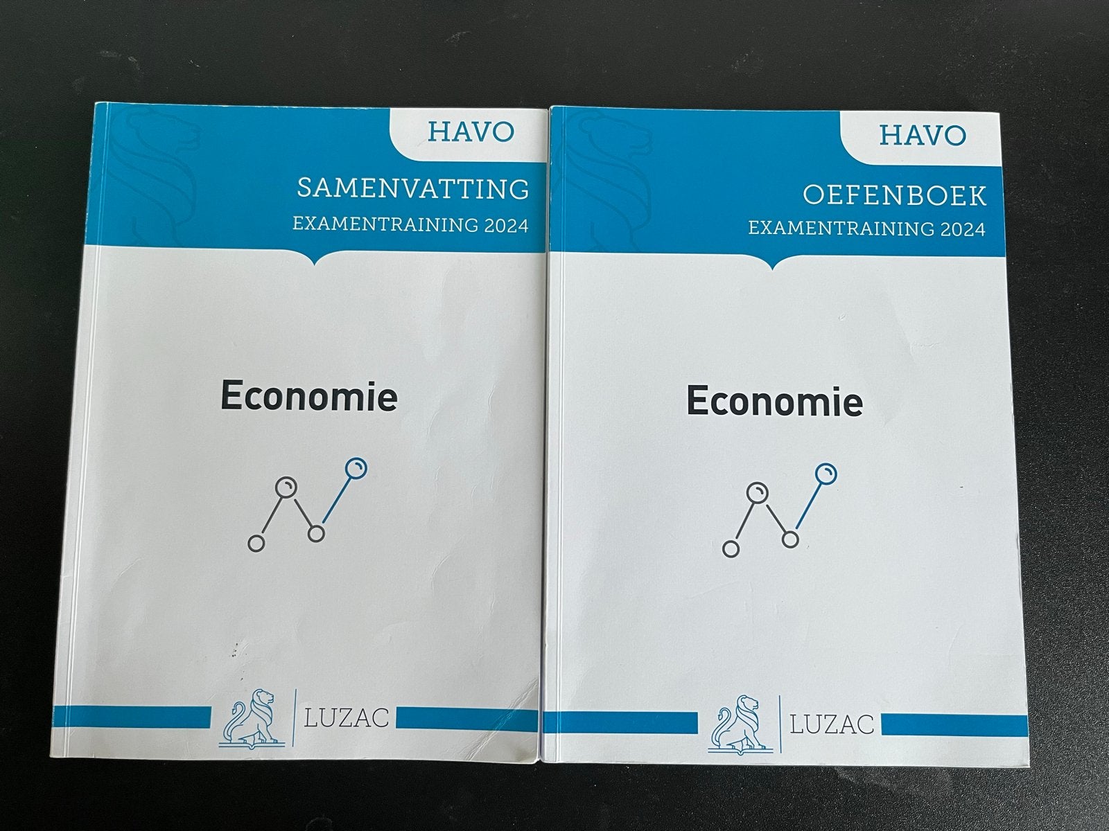 HAVO Economie Examentraining 2024: Samenvatting & Oefenboek, Ophalen, Gamma, Zo goed als nieuw, HBO