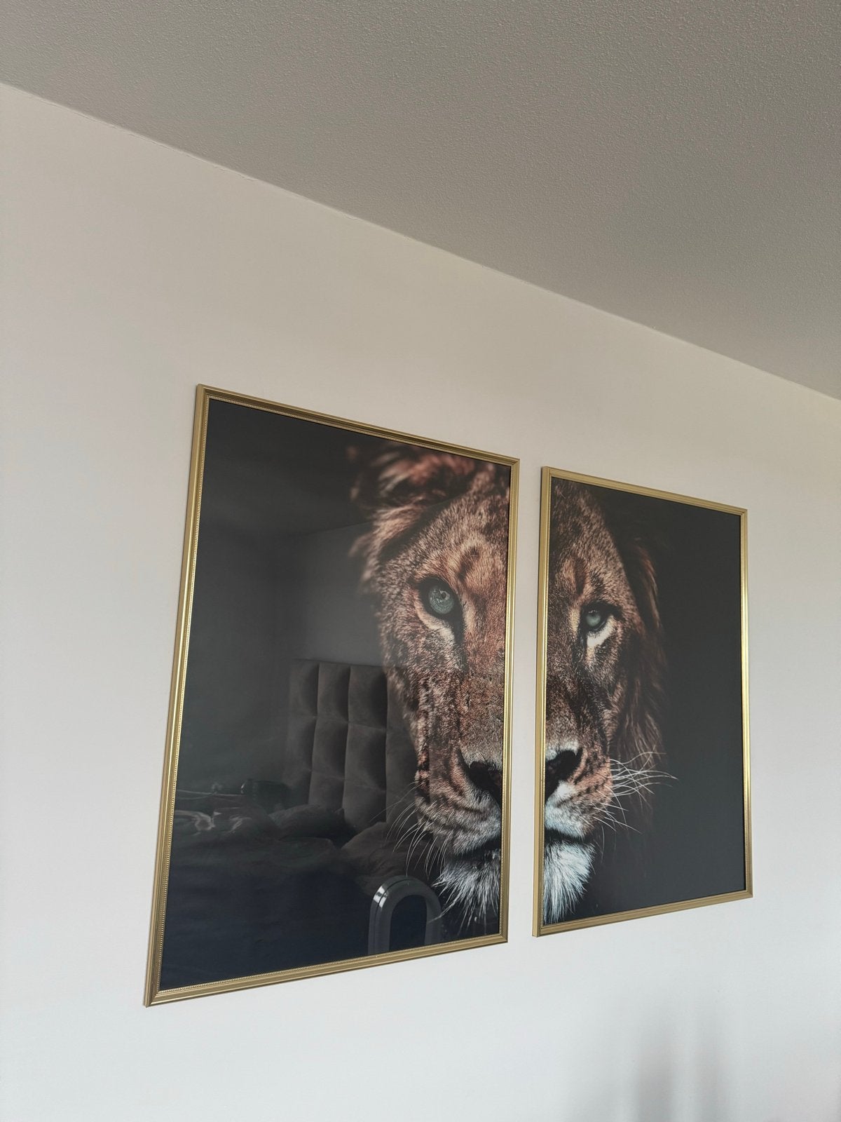 Indrukwekkende Leeuwen Canvas Set - 2 Delen, Huis en Inrichting, Woonaccessoires | Schilderijen, Tekeningen en Foto's, Ophalen of Verzenden