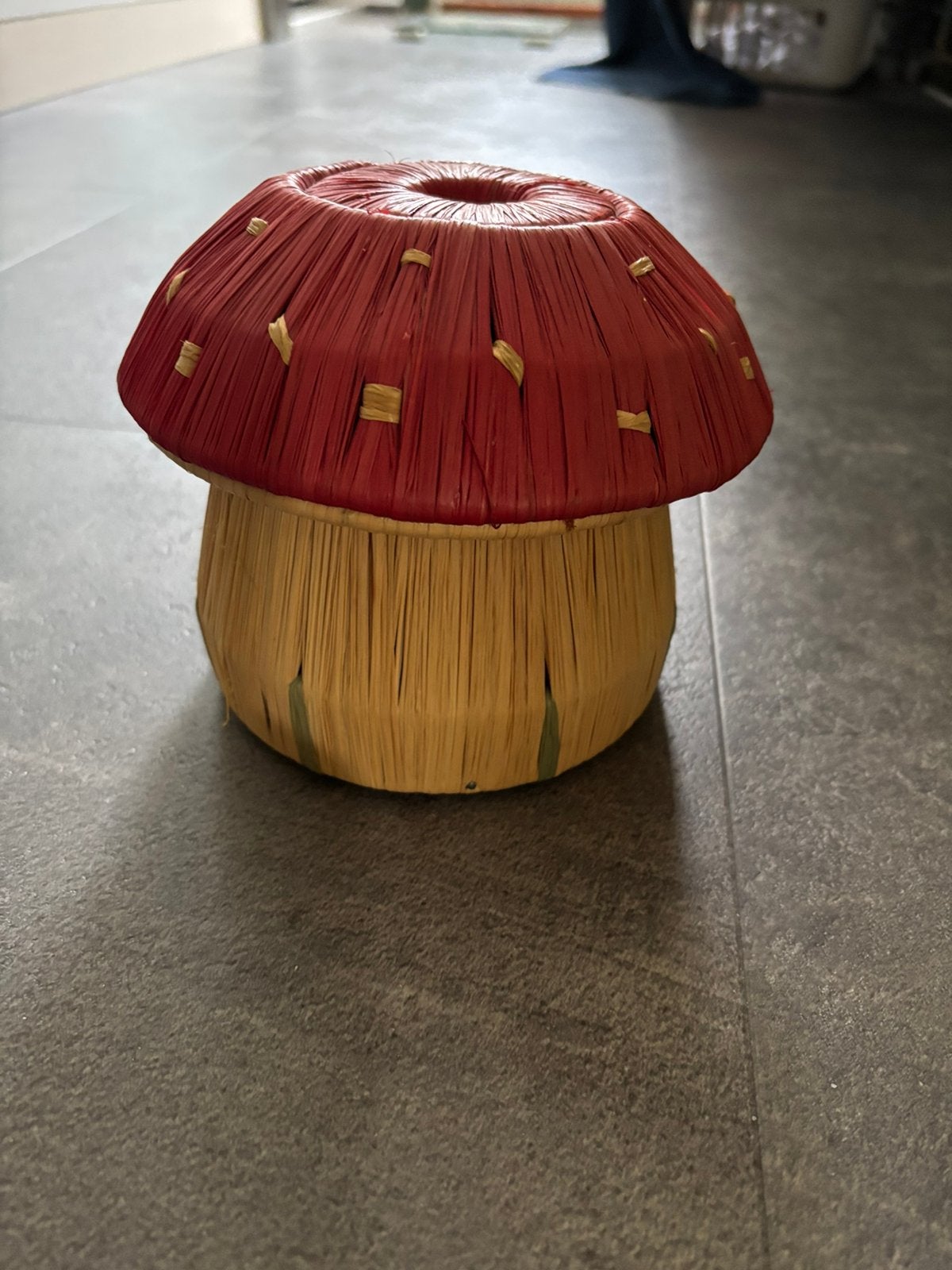 Decoratieve paddenstoel van raffia, Meerkleurig, Overige stijlen, Ophalen of Verzenden, Zo goed als nieuw