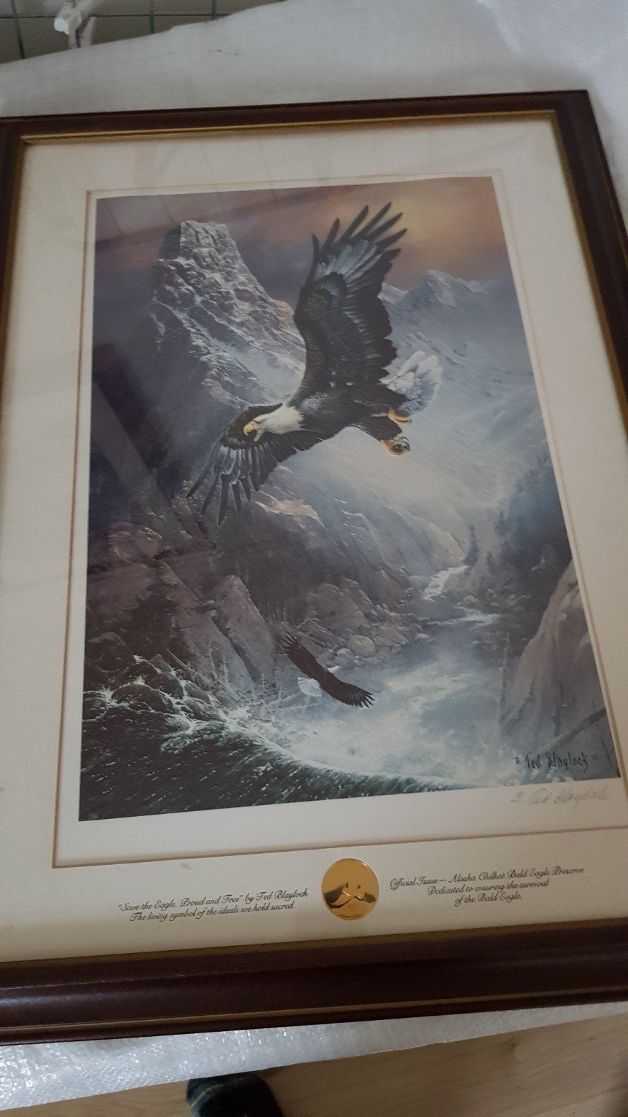Franklin Mint Adelaar Print - Ted Blaylock 'Proud and Free', Realistisch, Dieren, Ophalen of Verzenden, Print