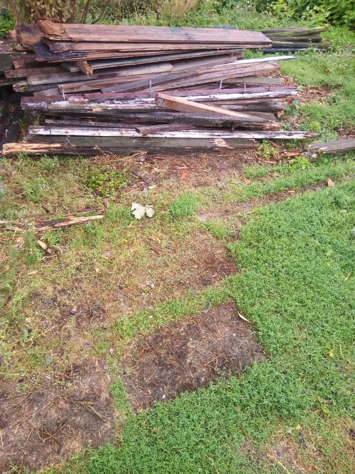 partij stook sloop hout voor vuurkorf ?, Minder dan 3 m³, Ophalen of Verzenden