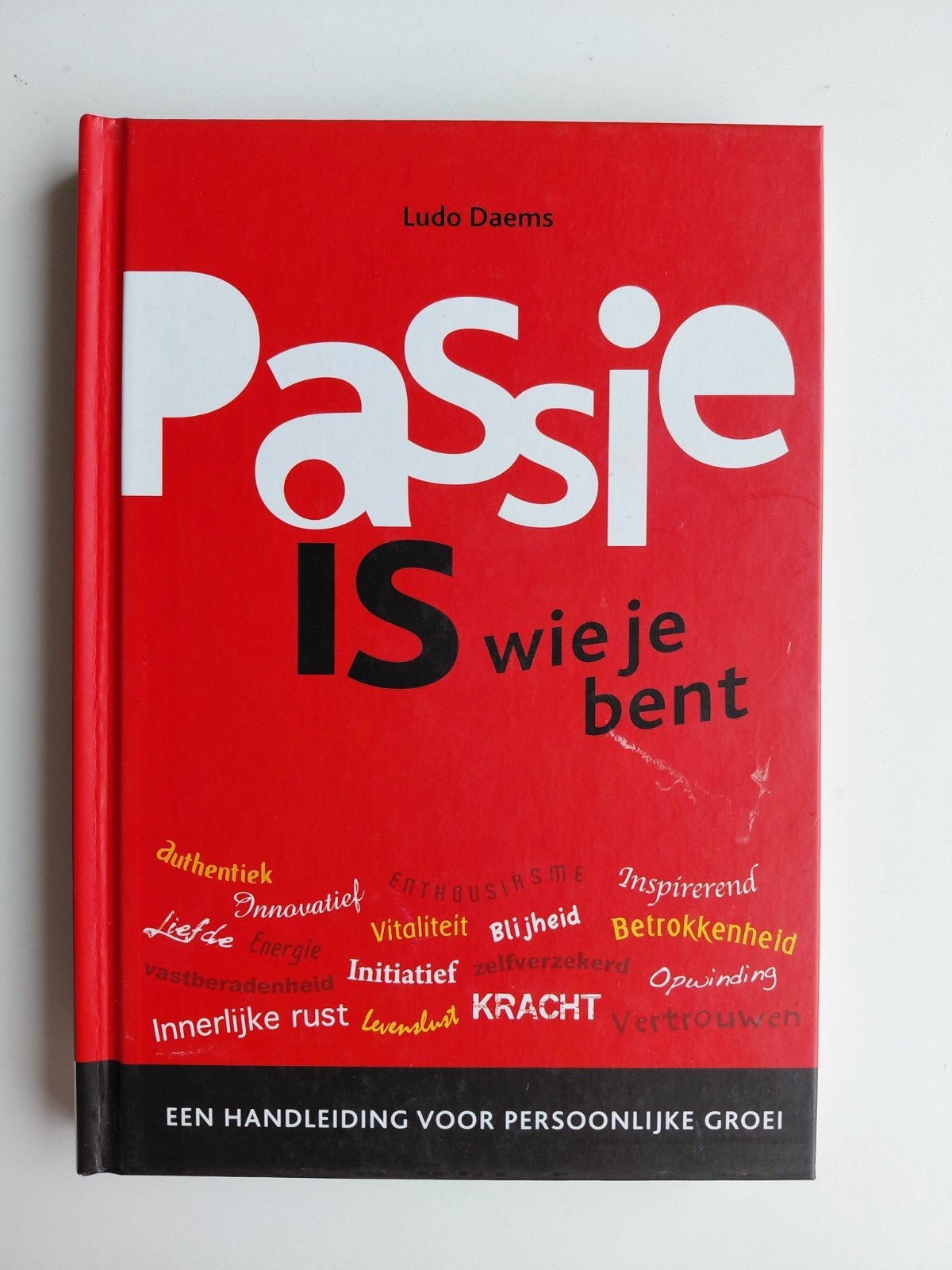 L. Daems - Passie is wie je bent, Ophalen of Verzenden, Zo goed als nieuw, L. Daems