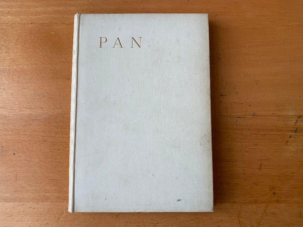 Herman Gorter - Pan. Een gedicht (1ste druk 1912), Ophalen of Verzenden, Gelezen