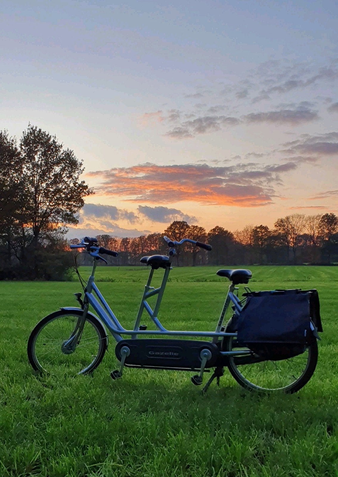 Gazelle Design for Two tandem | Nexus 8 | Nu €550!!, Ophalen, Minder dan 10 versnellingen, Gebruikt, Vering