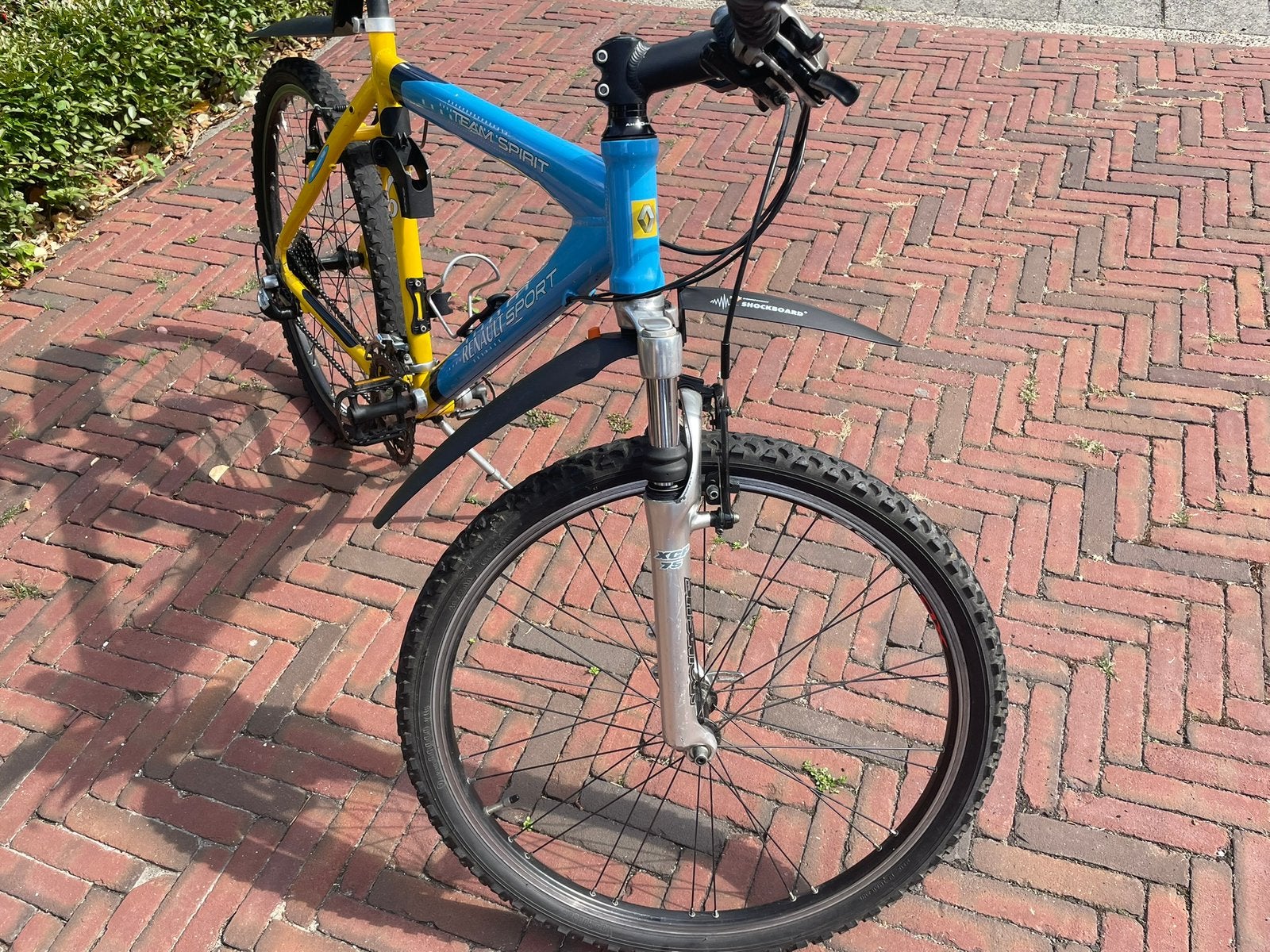 Renault Mountainbike Team Spirit, Fietsen en Brommers, Fietsen | Mountainbikes en ATB, Gebruikt, 53 tot 57 cm, Ophalen, Overige merken