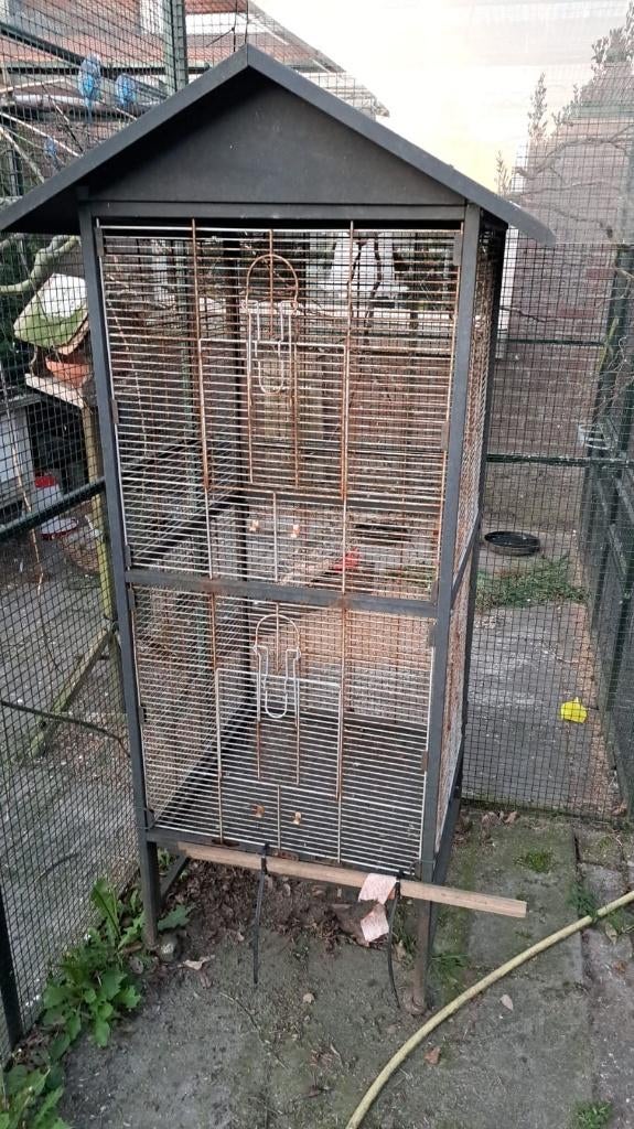 Kamervoliere, Dieren en Toebehoren, Vogels | Hokken en Kooien, Ophalen, Gebruikt, Metaal, Vogelkooi