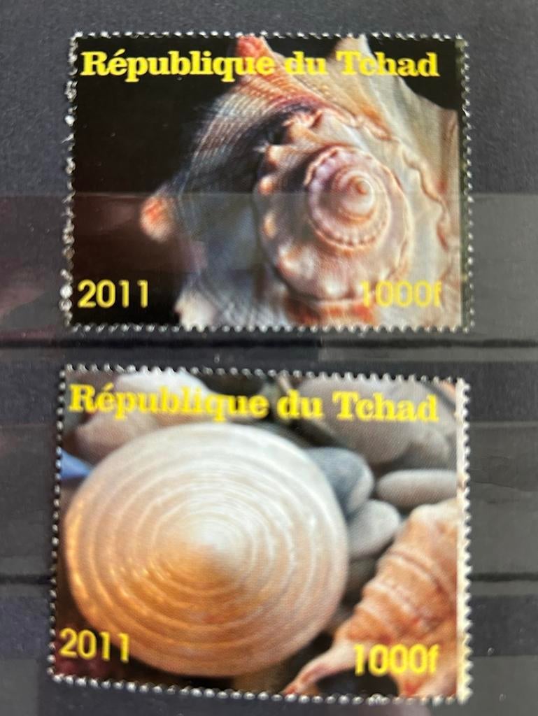 Schelpen, Postzegels en Munten, Verzenden, Postfris, Dier of Natuur