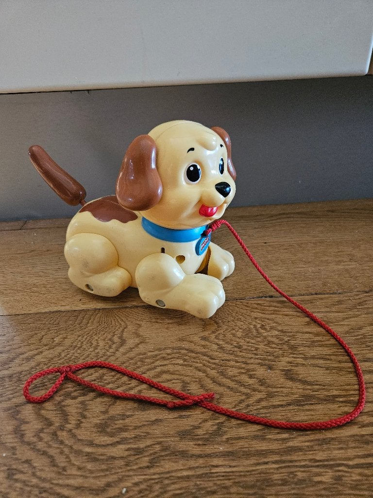 Fisher price trek hondje, Ophalen of Verzenden, Gebruikt, Duw- of Trekspeelgoed