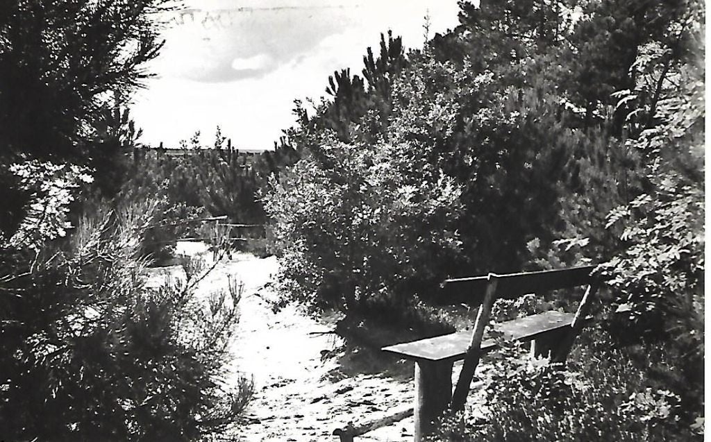 Ossendrecht- -De wijde blik., Verzamelen, Ansichtkaarten | Nederland, Verzenden, 1960 tot 1980, Gelopen, Noord-Brabant