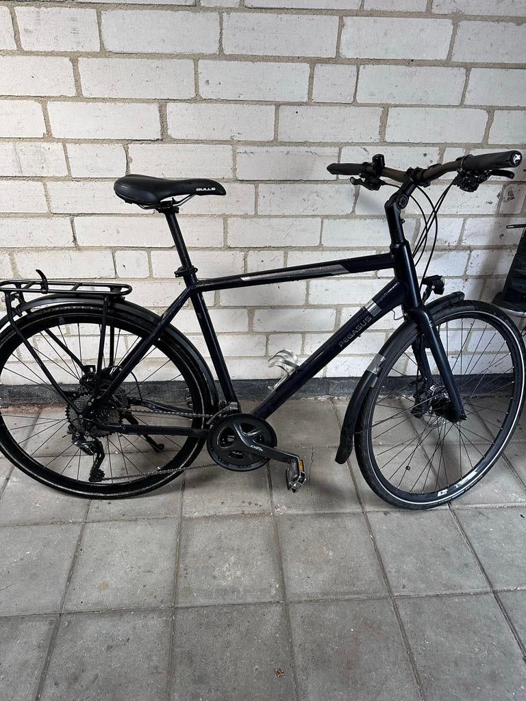 Pegasus fiets maat 55 met Carbon voorvork, 51 tot 55 cm, Ophalen of Verzenden