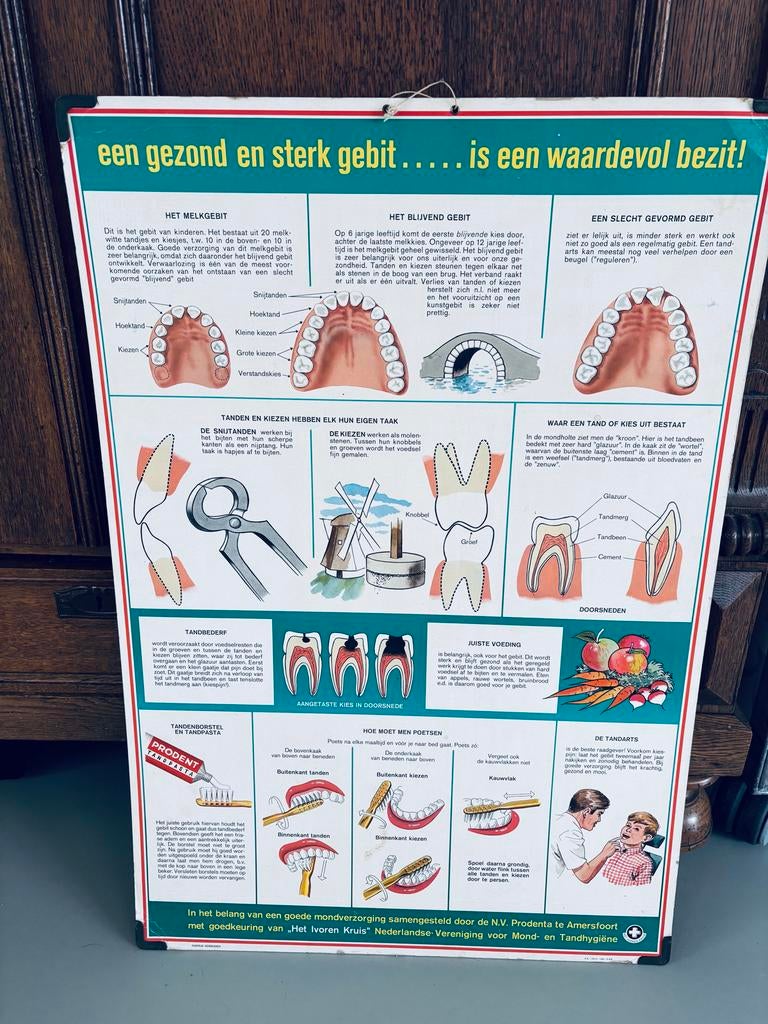 Vintage Informatiekaart Tandarts: Gezond en Sterk Gebit, Ophalen of Verzenden, Overige thema's