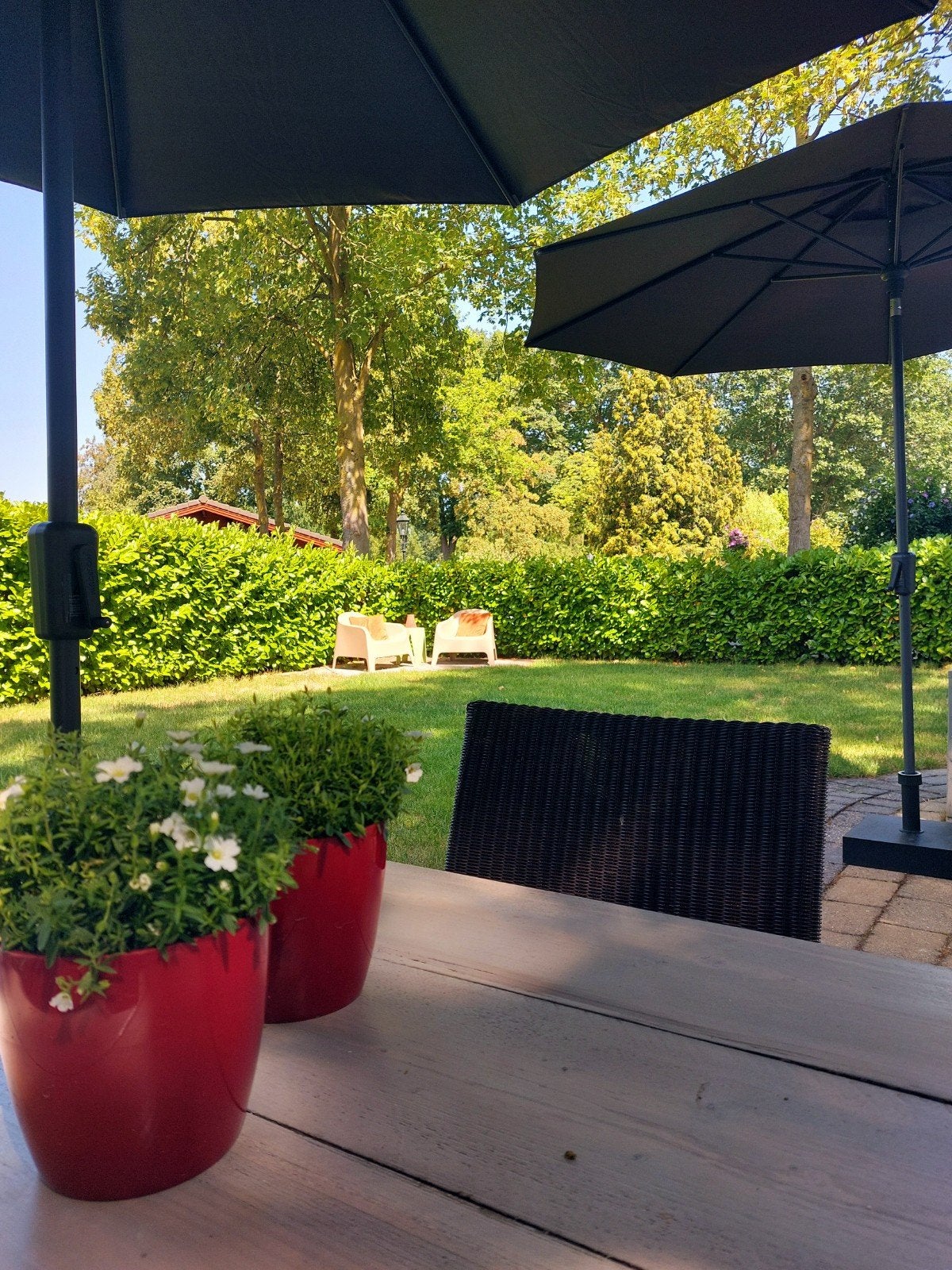 Chalet te huur vanaf 16 november 2026, 2 slaapkamers, Limburg, Recreatiepark, Aan meer of rivier