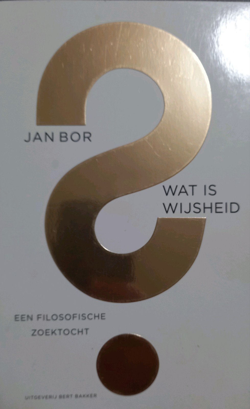 Jan Bor - Wat is wijsheid?, Boeken, Ophalen of Verzenden, Zo goed als nieuw, Jan Bor