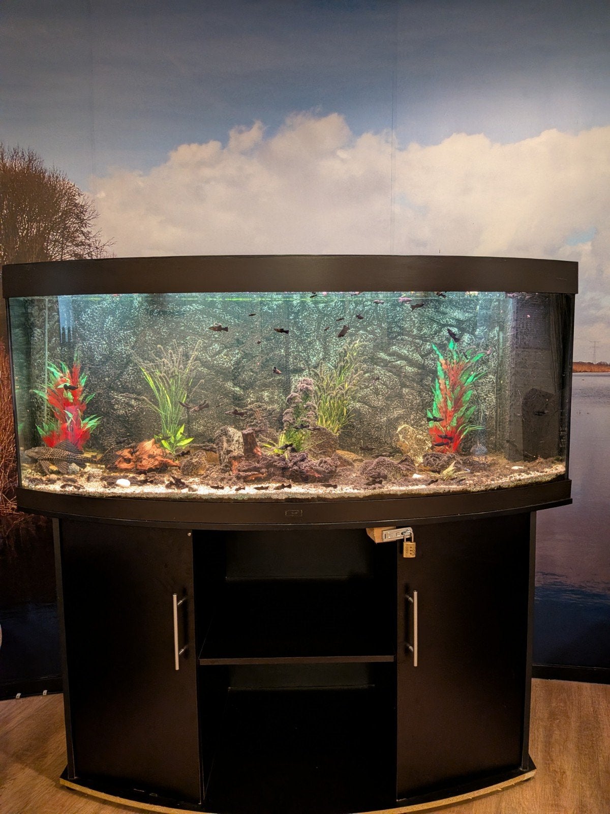 Aquarium met meubel, Ophalen, Gebruikt, Gevuld zoetwateraquarium, Juwel
