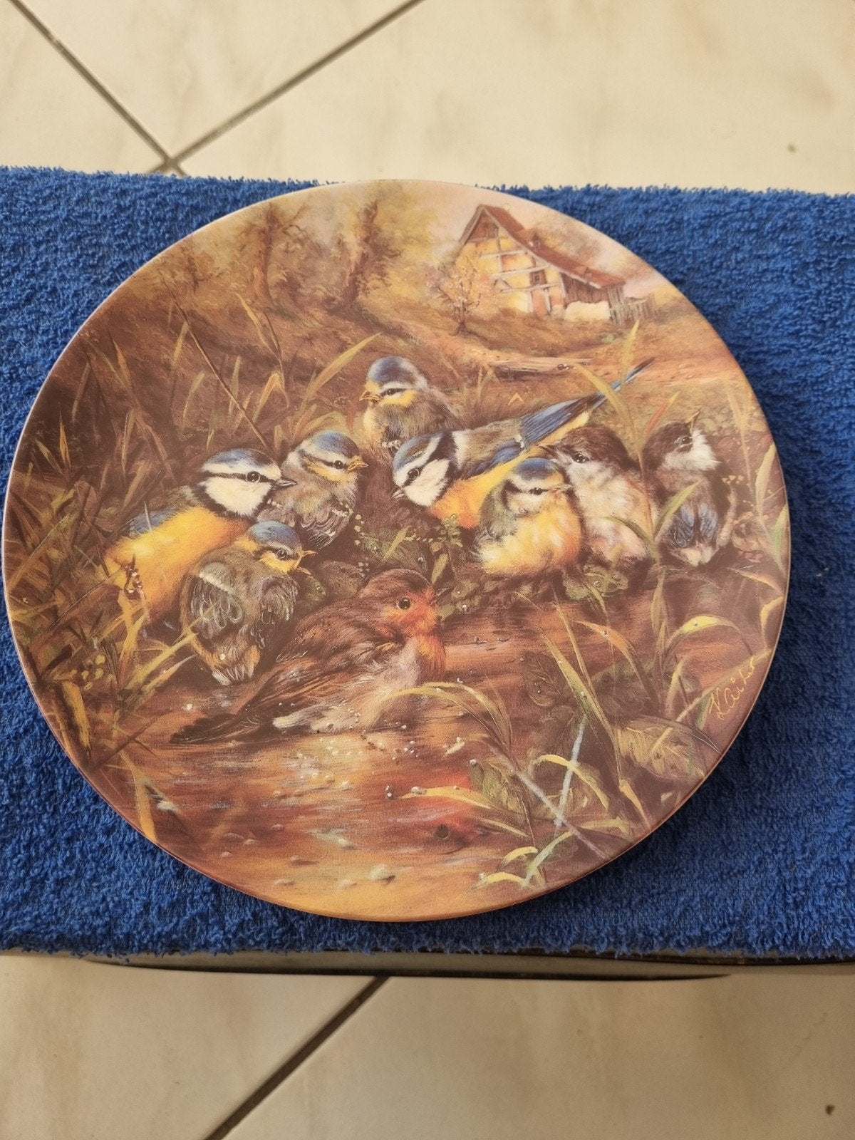 Bradex Wandbord "Rotkehlchen beim Baden" - Wolfgang Kaiser, Antiek en Kunst, Ophalen of Verzenden