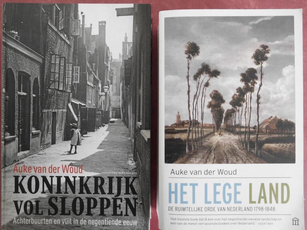Auke van der Woud Koninkrijk vol sloppen Het lege land, Ophalen of Verzenden, Zo goed als nieuw