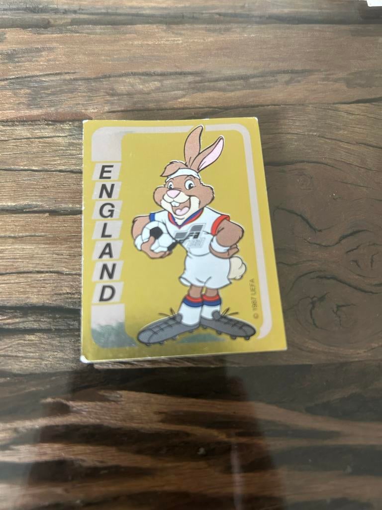 Panini Euro '92 Sticker #91 - Engeland Berni, Verzamelen, Ophalen of Verzenden, Zo goed als nieuw, Sport