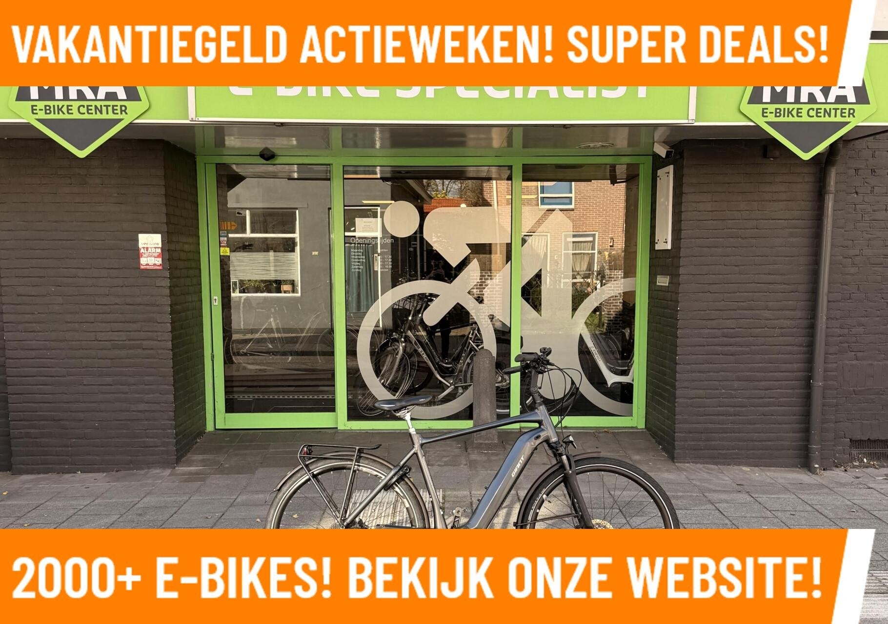 Giant Hybrid Elektrische fiets met sterke midden motor ebike