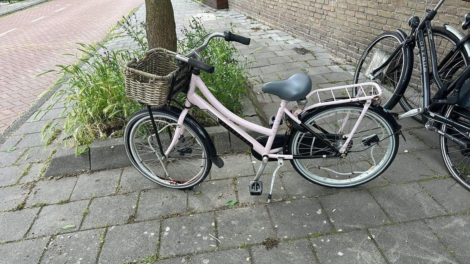 Roze Gazelle fiets 24 inch, Fietsen en Brommers, Ophalen, Terugtraprem, 50 tot 53 cm, Gazelle