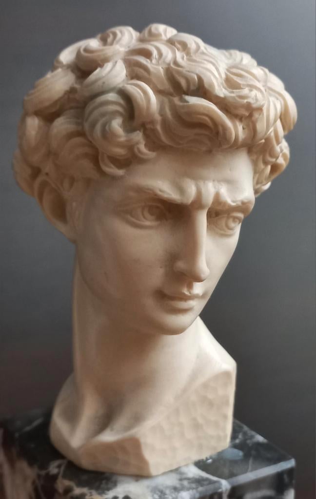 Michelangelo's David Bust,Oxolyte on ITALIAN MARBLE BASE, Ophalen of Verzenden