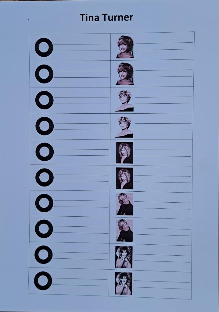 100 Jukebox titelkaartjes (Tina Turner), Ophalen of Verzenden, Nieuw, 1970 tot heden, Overige merken