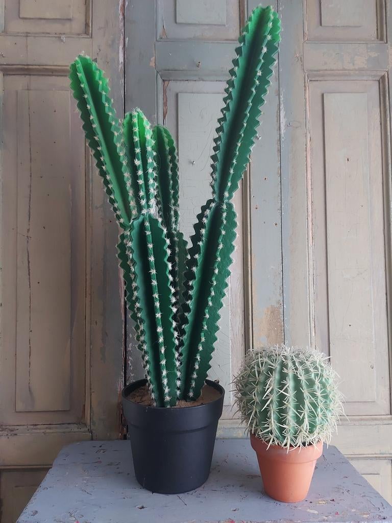 2 x etalage cactus grote 75 cm bol 20 cm h, Ophalen of Verzenden