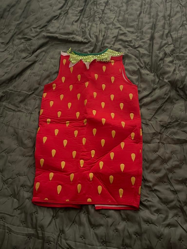 Carnaval kleding, Ophalen of Verzenden, Zo goed als nieuw, Maat 36 (S), Carnaval