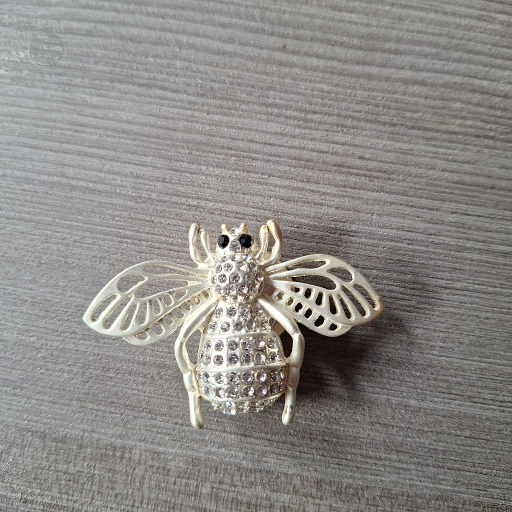 magneet broche, Ophalen of Verzenden, Nieuw