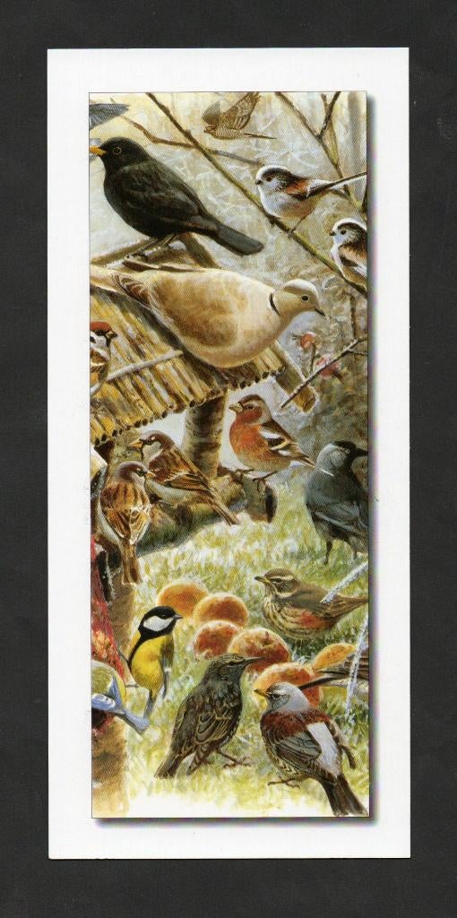 Vogels, Merel, Mus, Vink, Koolmees, Spreeuw, Kauw, Tortel., Ophalen of Verzenden, 1980 tot heden, Ongelopen, Vogel