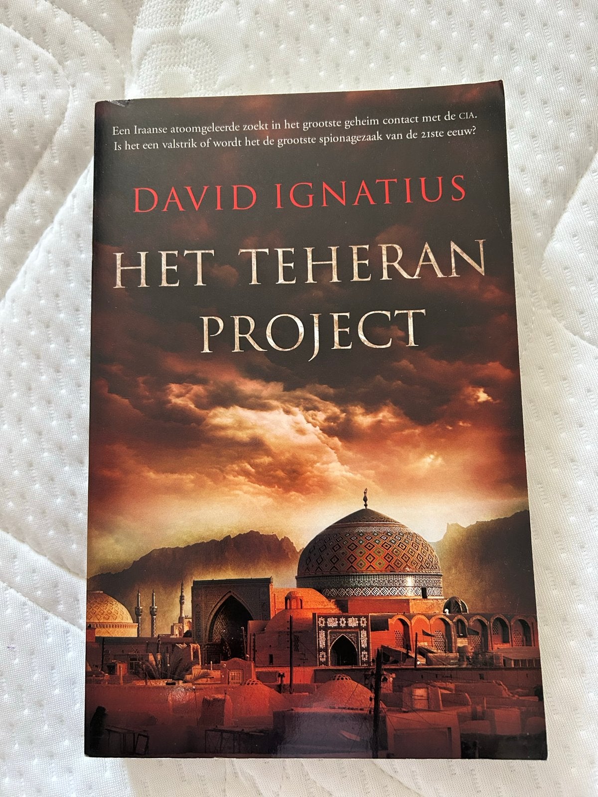 Het Teheran Project - David Ignatius (Thriller), Ophalen of Verzenden, Zo goed als nieuw, Wereld overig